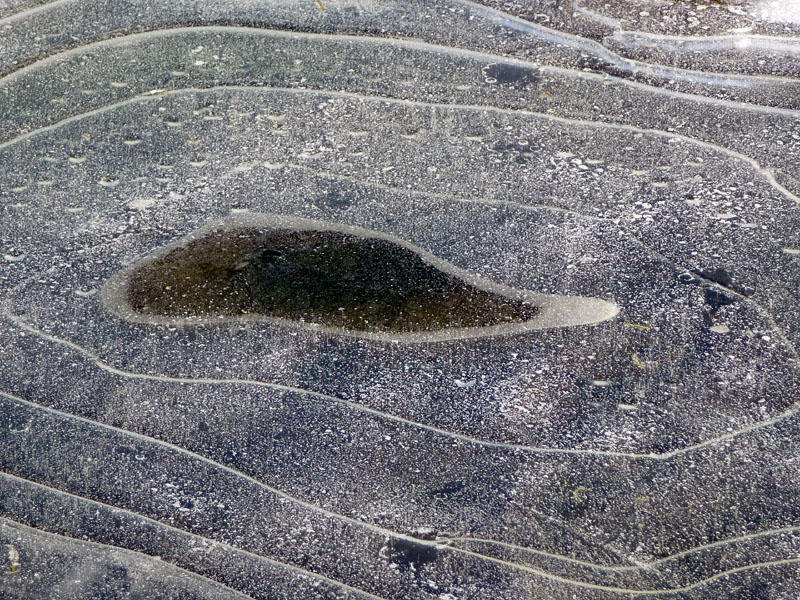 ice-eye