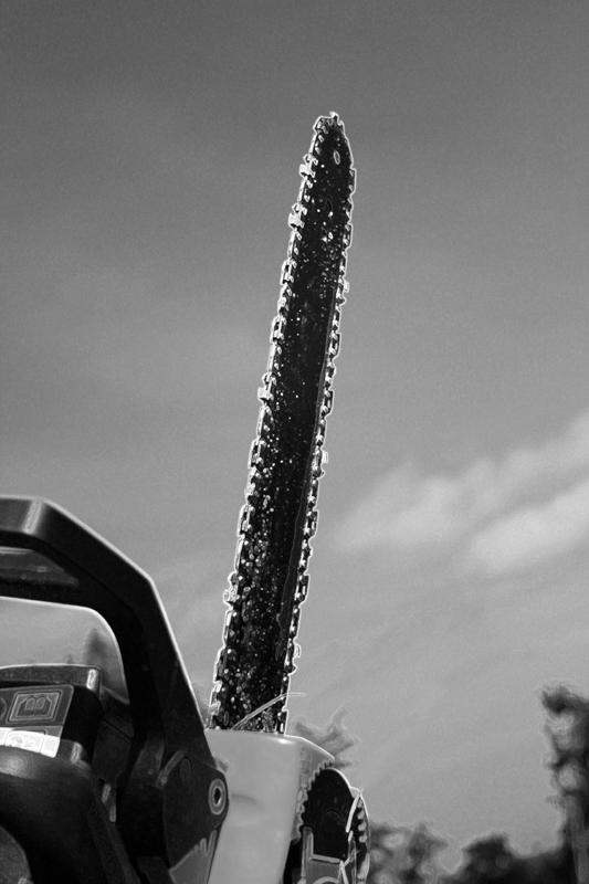 Challenge ~ Strong enough in B&W?