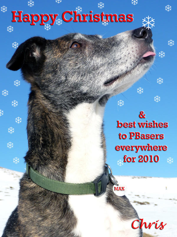 Challenge ~ Christmas Card 2009