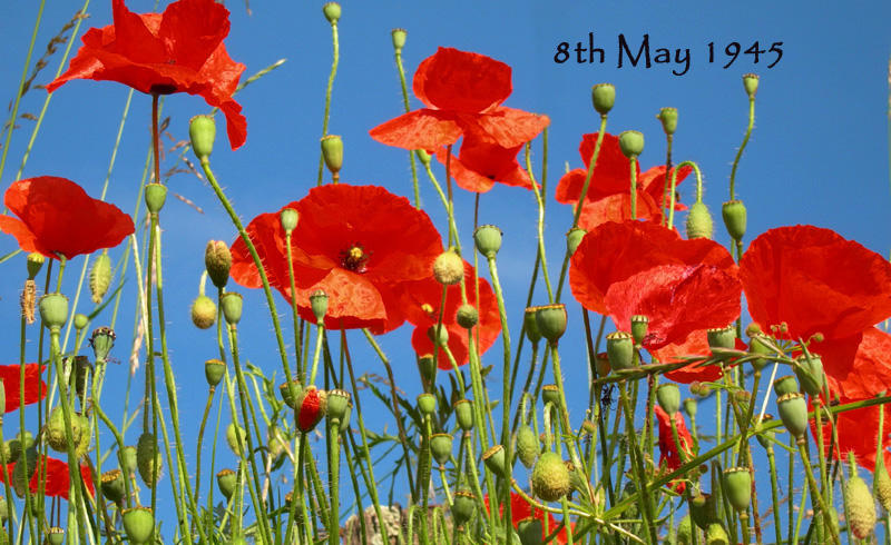 Lest we forget