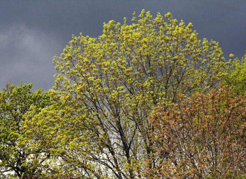 storm sky