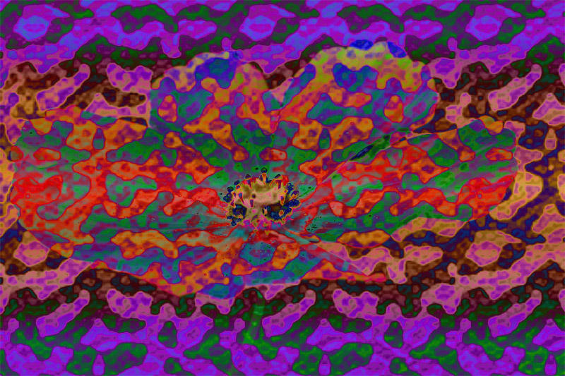 # 13 Abstract in August