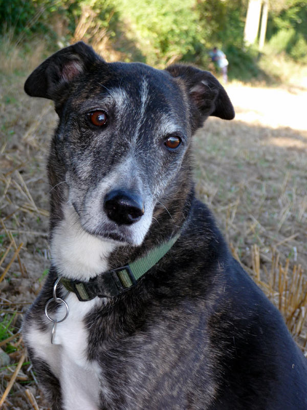Max - 13 today