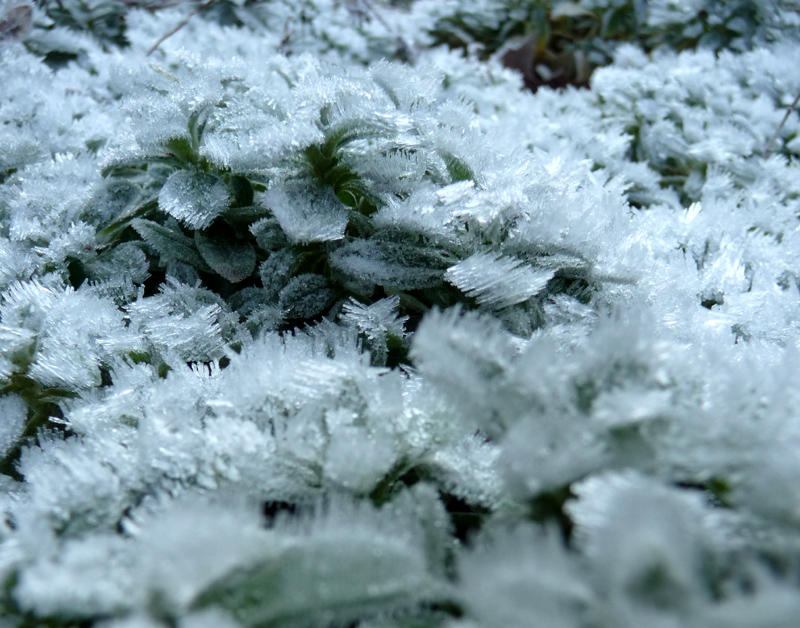 Patterns & Shapes - Ice Crystals