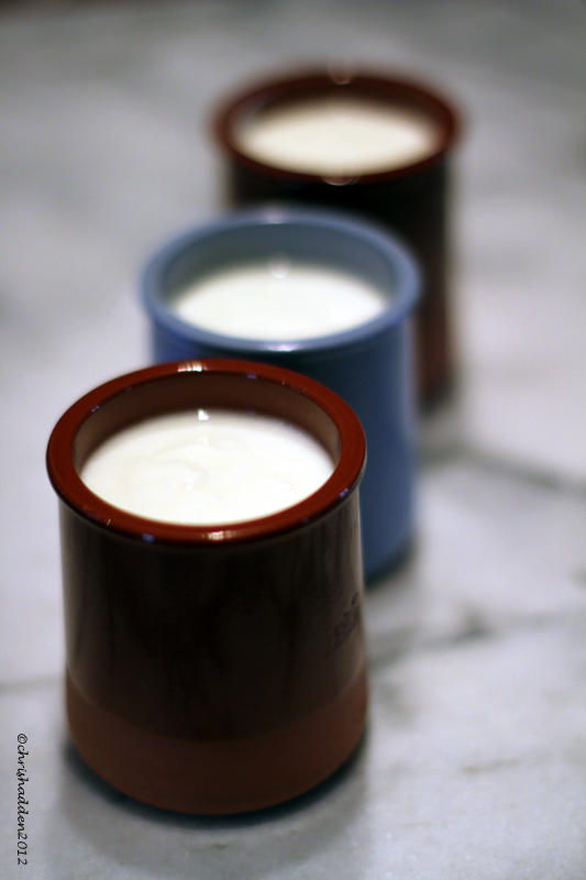Simple things that please me...homemade yogurt