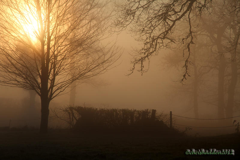 MM #13 - Playing with Light