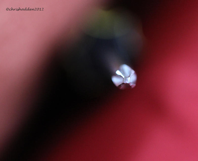 Natural Abstract #6