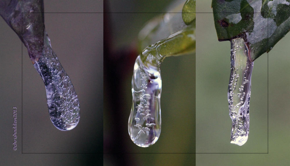 17th - Triptych & Sunday Sparkles