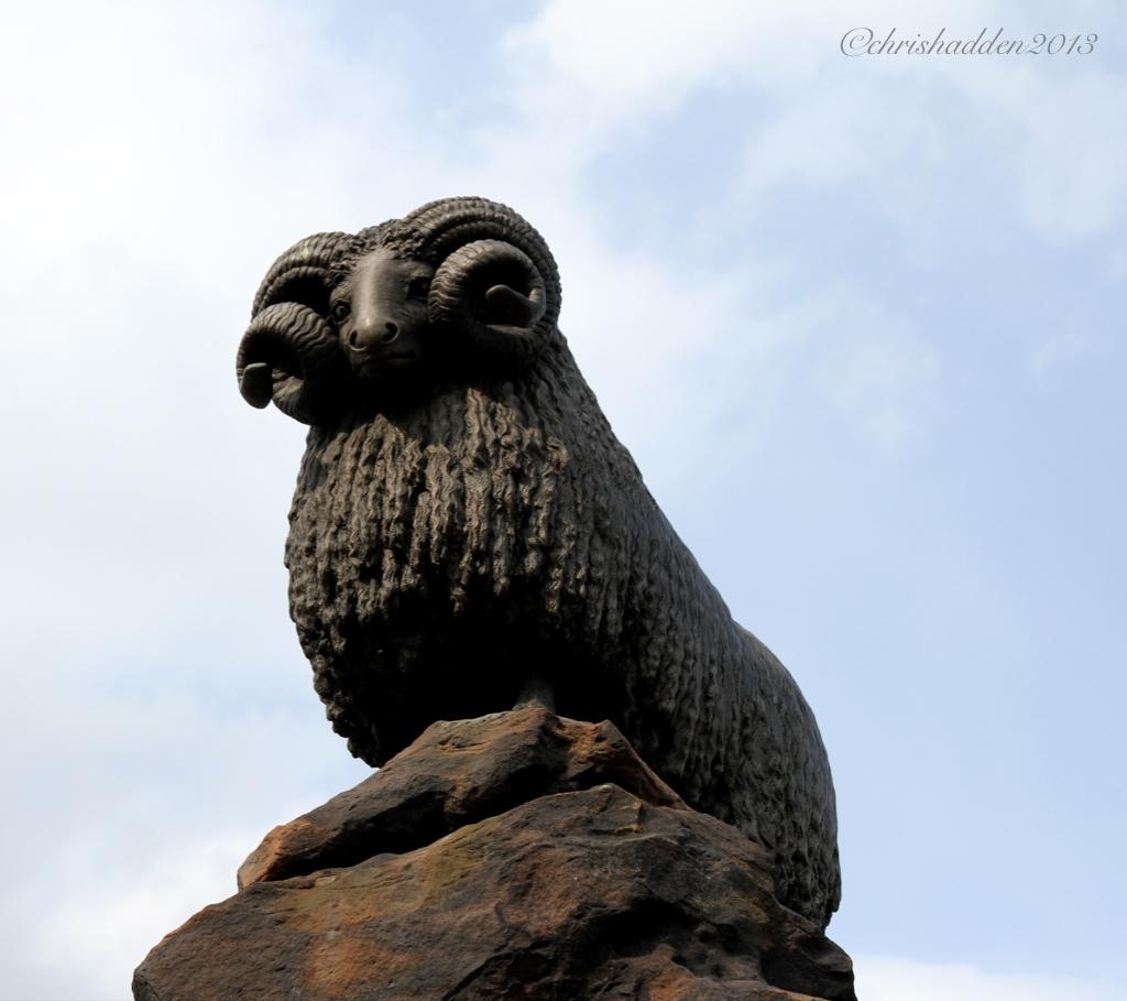 Aprils Adjectives #5 - PROUD
