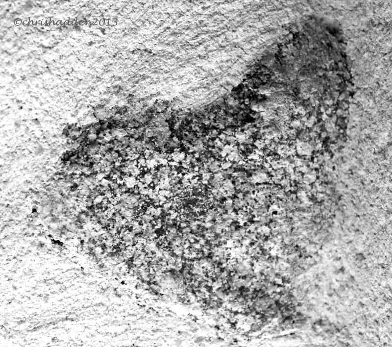 Musical Medleys #17 - Heart Of Stone