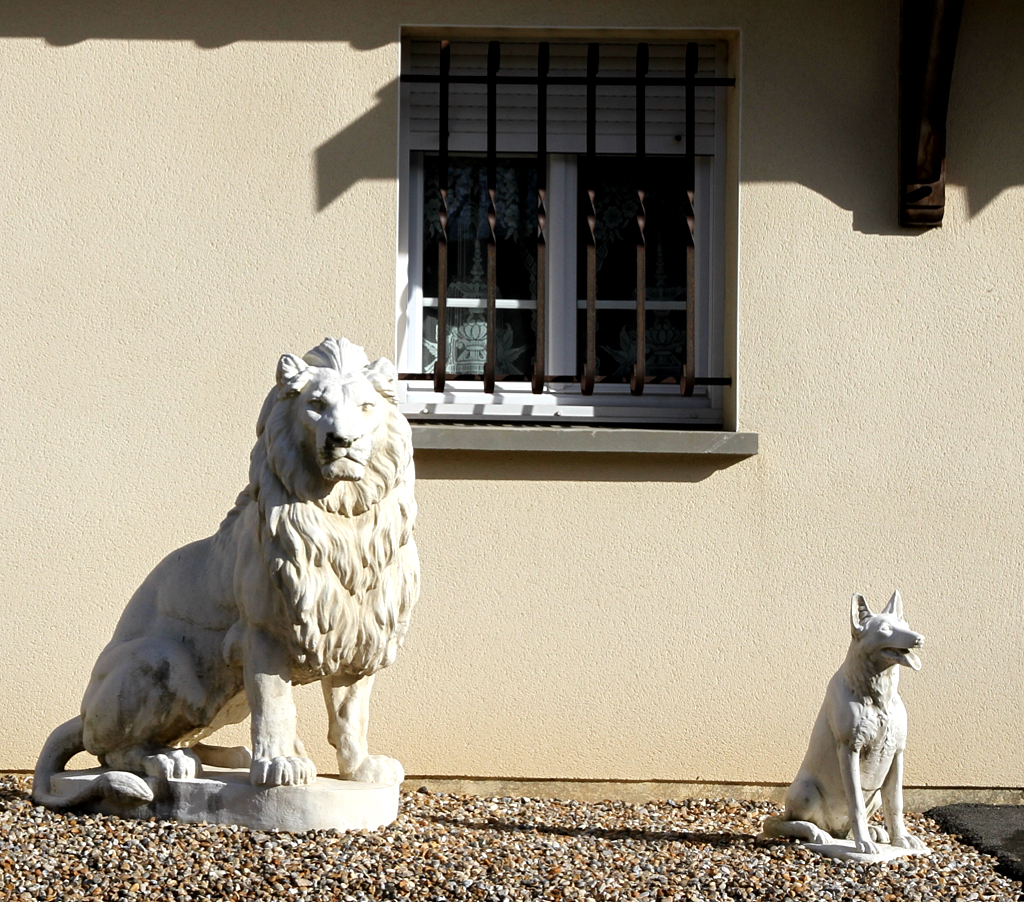 On guard at the door of a small cottage