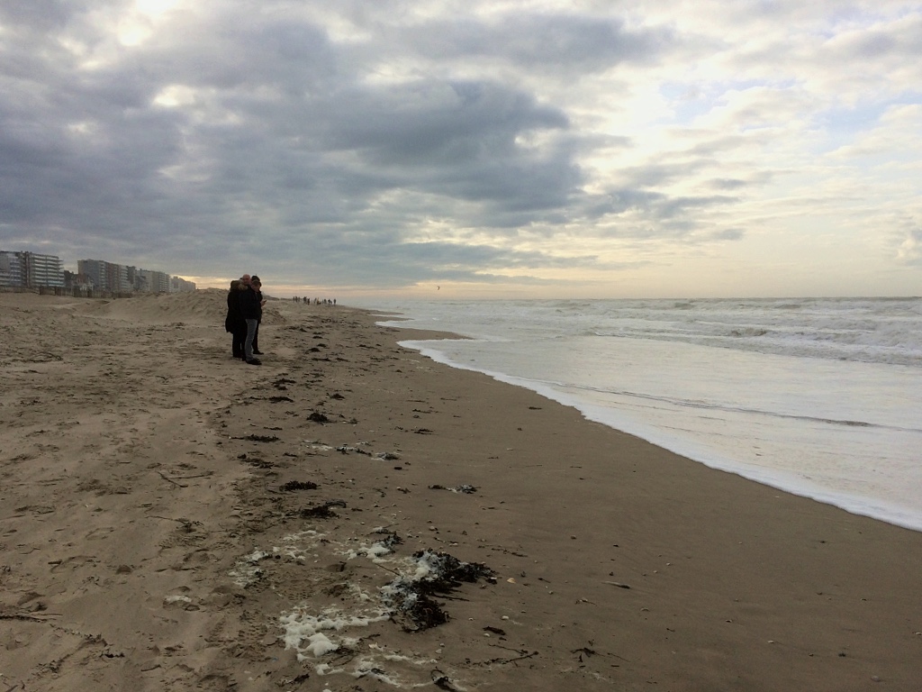 Strangers on the Shore