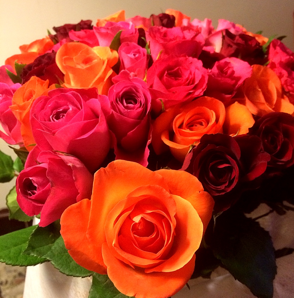 Mothers Day roses from the  Kates in Canberra