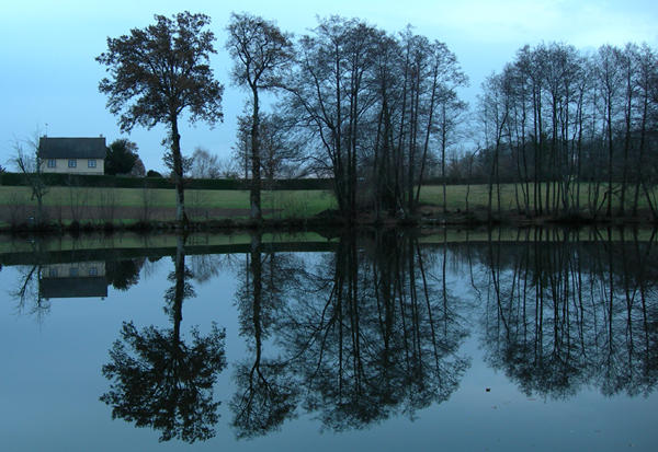 mirror image