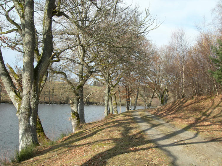 Spring sunshine - it belies the temperature!