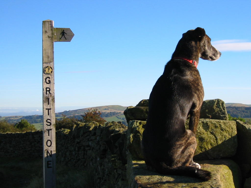 Max on Kerridge Ridge