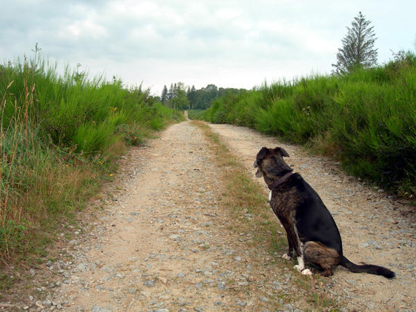 Are we nearly there?