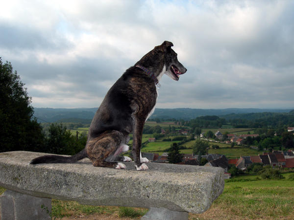 overlooking Bellegarde