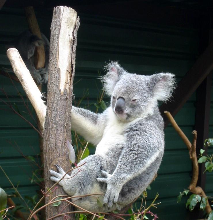 just hanging out
