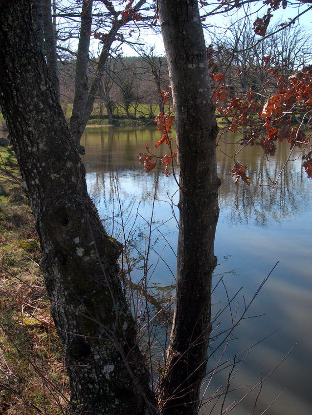 Reflections at Les Portes