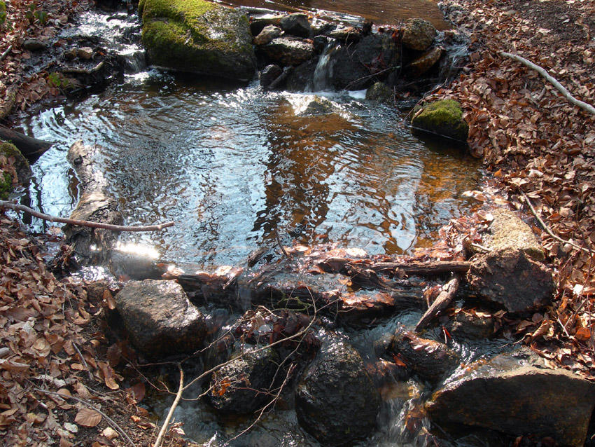 Roches de St Julien
