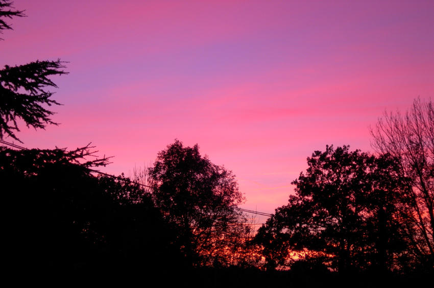 Tonights sunset