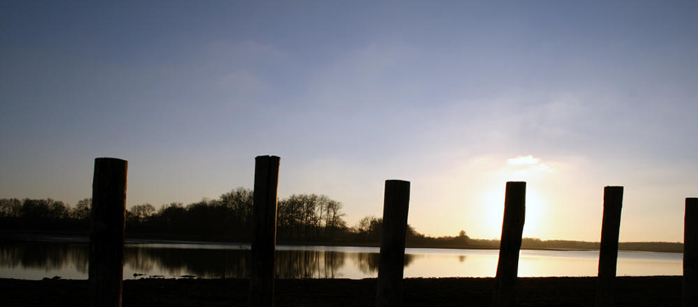 Etang des Landes
