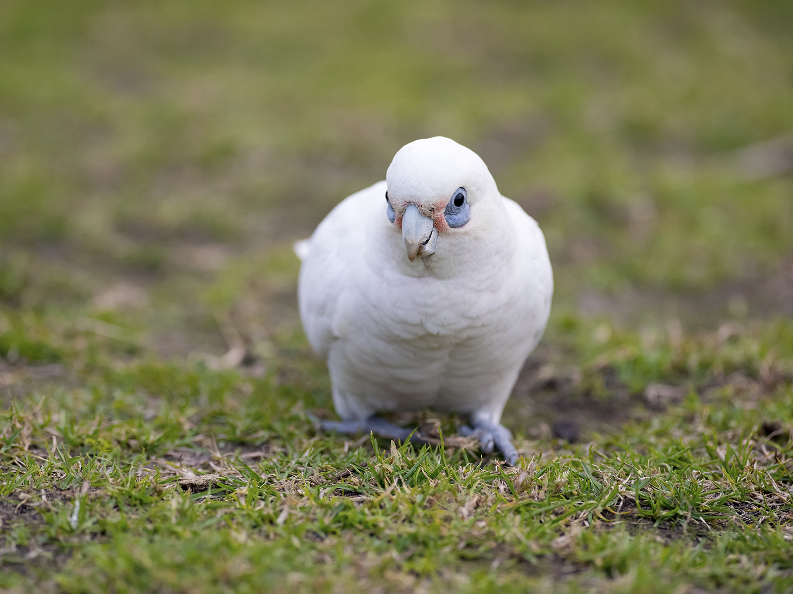 DSC_1140.jpg