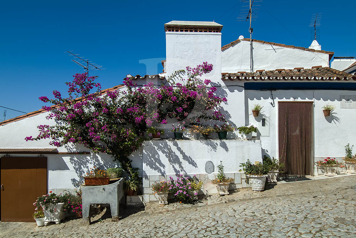 Largo da Matriz