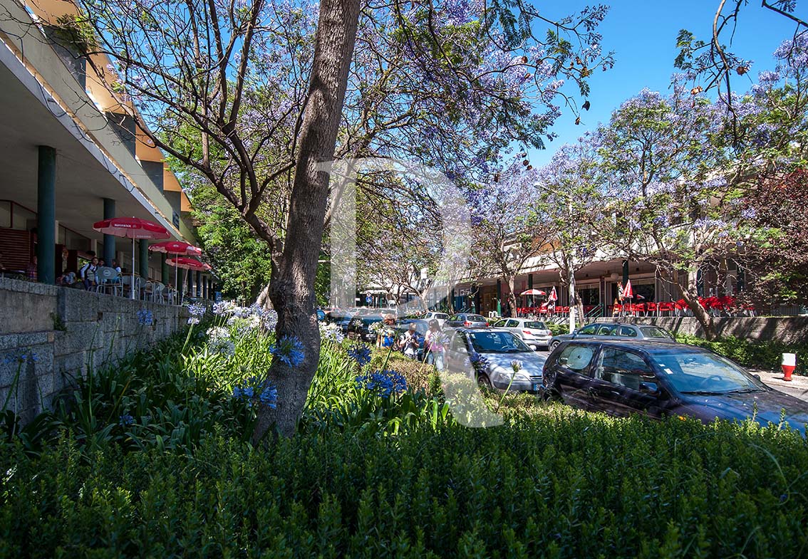 Centro Comercial do Restelo (MIP)