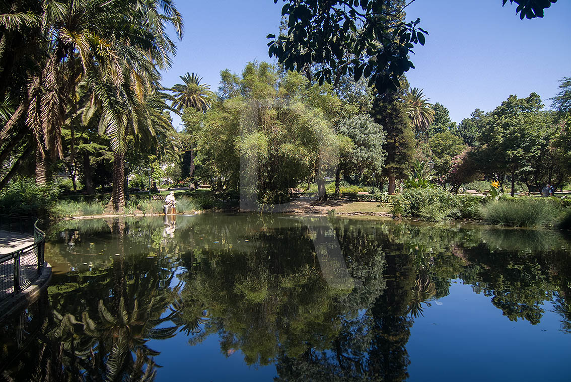 Jardim da Estrela
