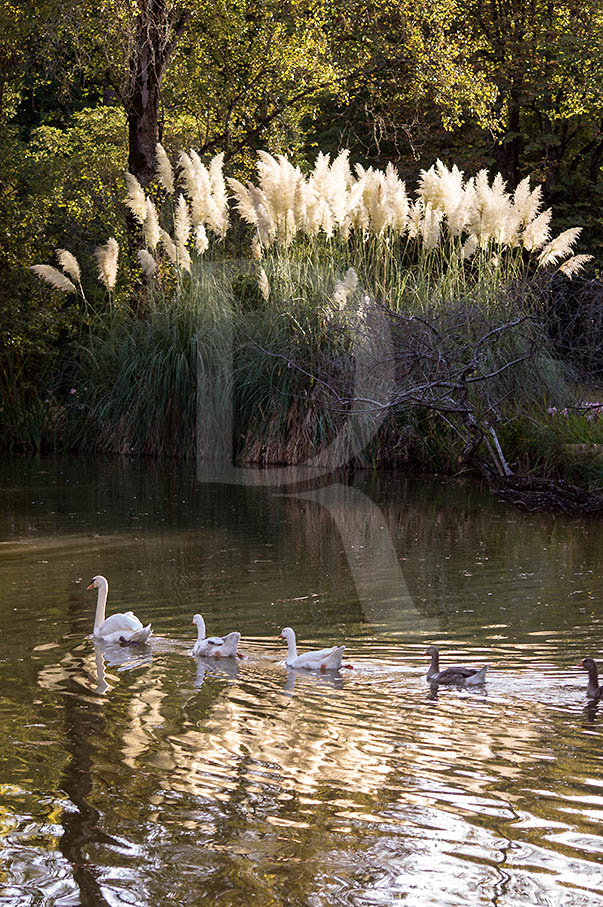 O Parque D. Carlos em 5 de setembro de 2014