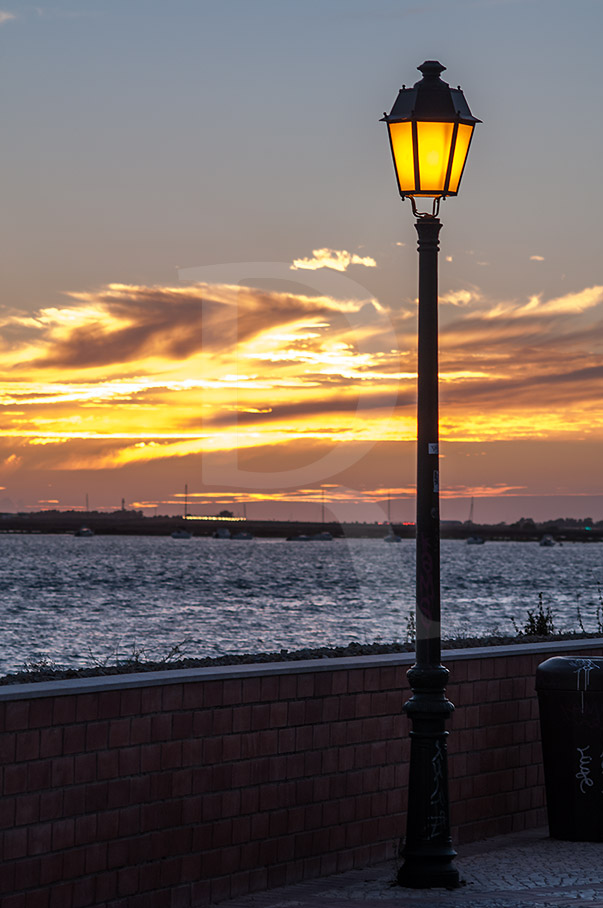 O Passeio Ribeirinho de Faro