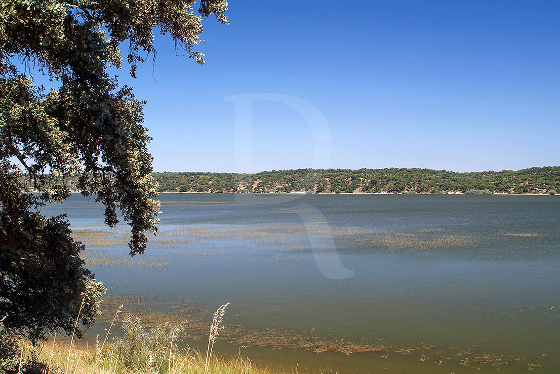 Albufeira da Barragem de Montargil