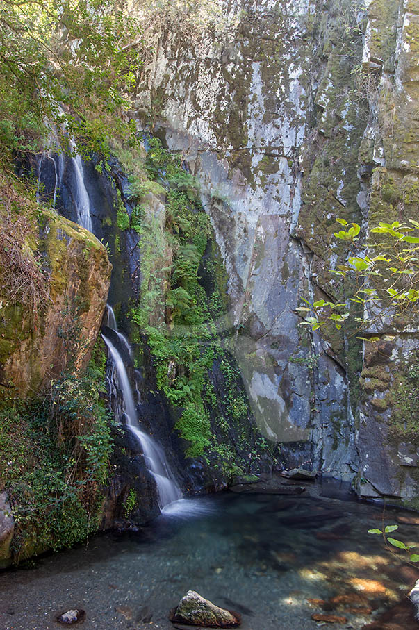 Fraga da Pena