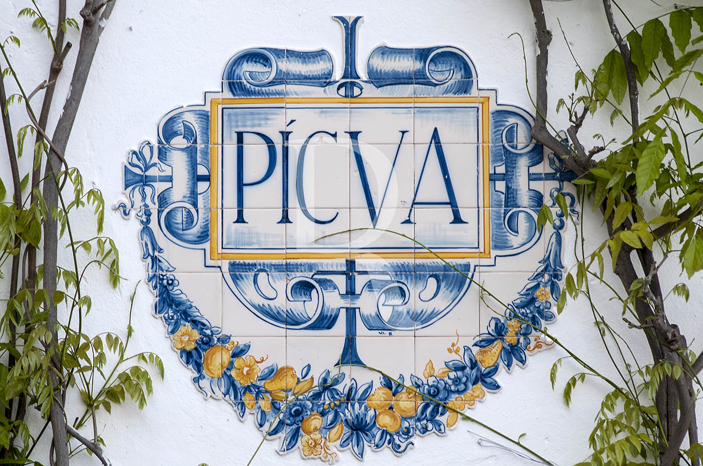 Casa Pcua