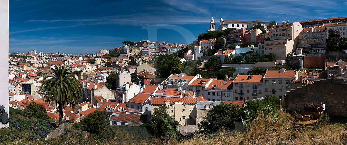 Graa