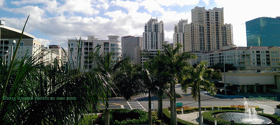 January 2015 - the view south from Dadeland Mall just west of the former Burdines department store (Macys now)
