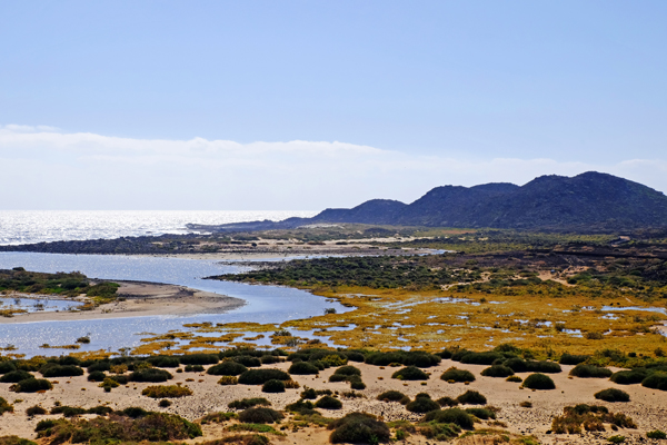 Lobos Island - Salt Marsh.