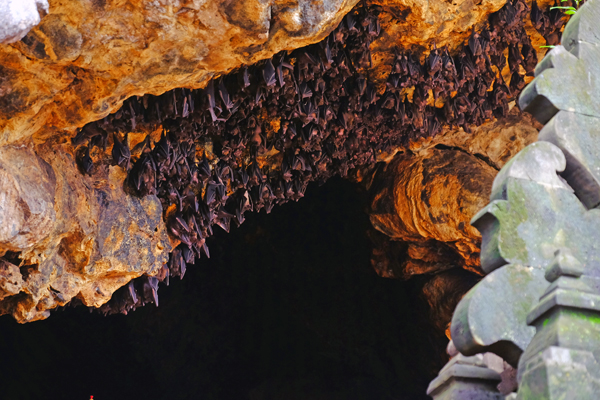 Bat Cave - Gua Lawa Temple, Bali, Indonesia.