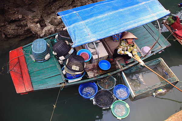 Fish Vendor, Ha Long Bay, Vietnam.