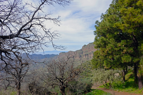 Panorama - Parque Rural del Nublo, Gran Canaria.