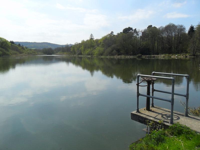 BURTON MILL POND 