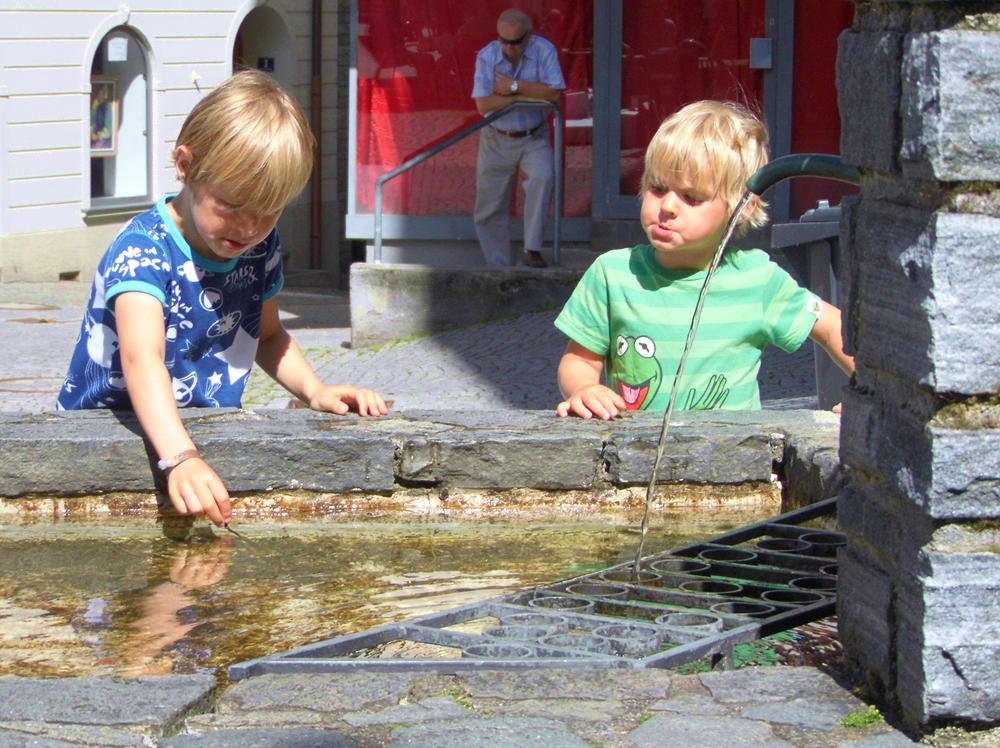 FUN AT THE TROUGH