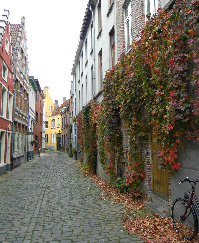 ZEUGSTEEG LANE