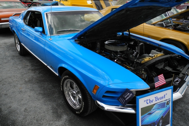 1970 Ford Mustang Mach 1 (8495)