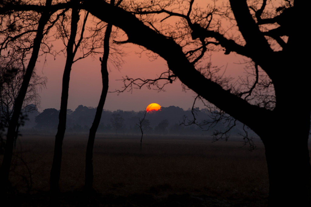 Strensall Common Sunset