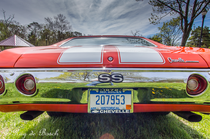 IMG_1440-1.jpg