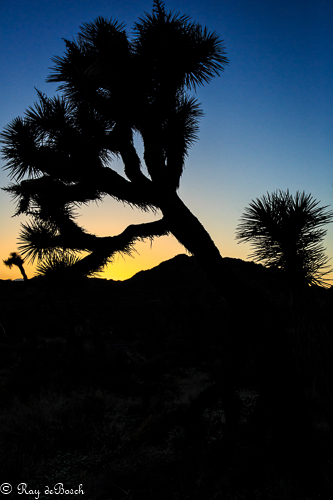 Death_Valley-9167.jpg