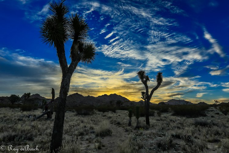 Death_Valley-9281.jpg